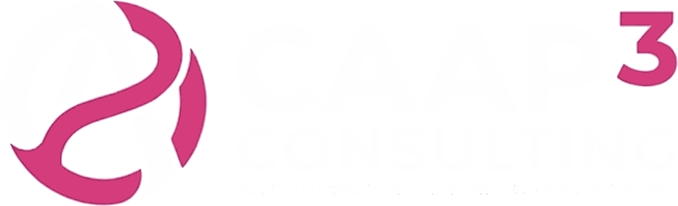 CAAP³ Consulting